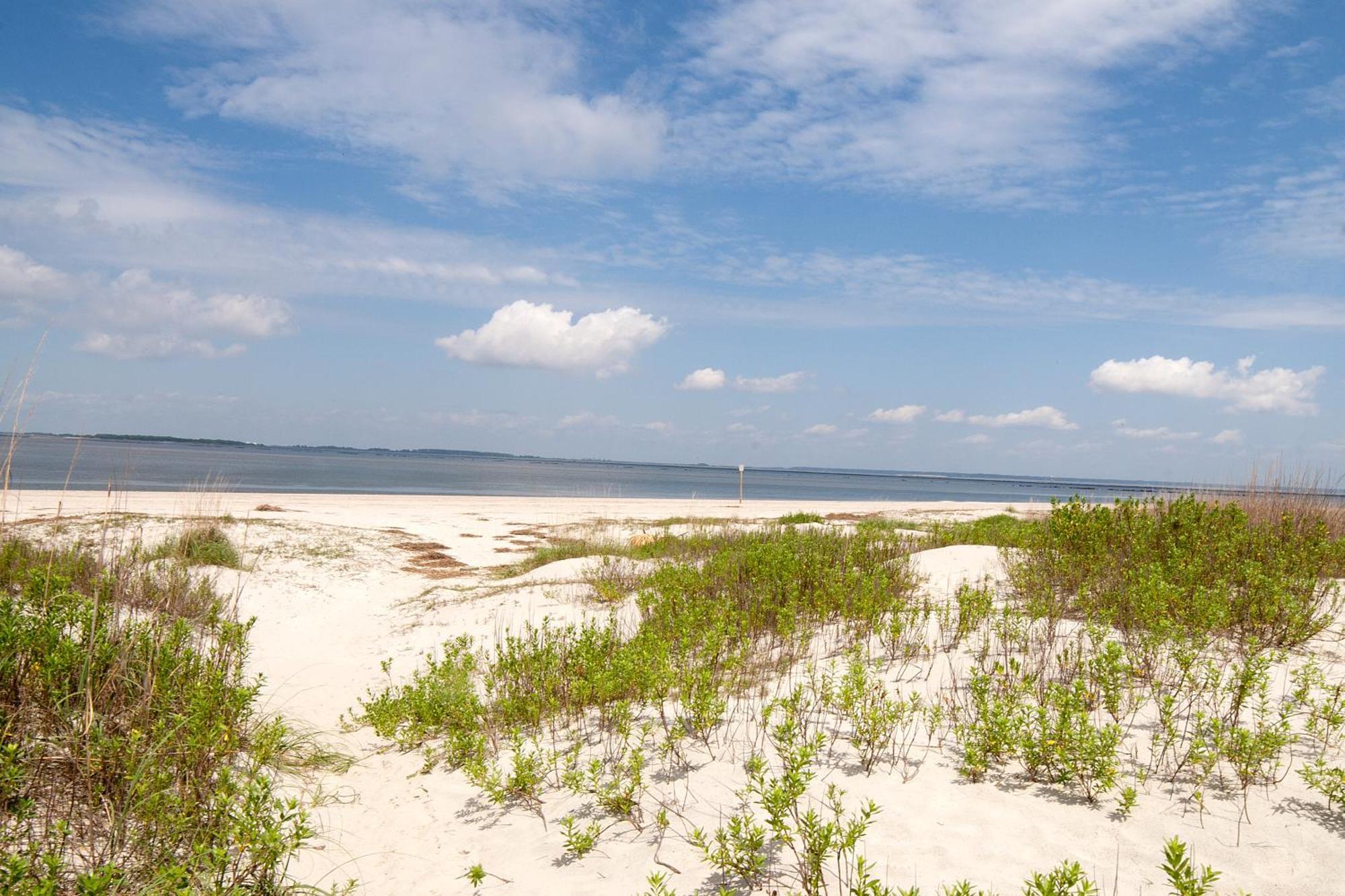Desoto Beach Gardens Tybee Island Eksteriør bilde